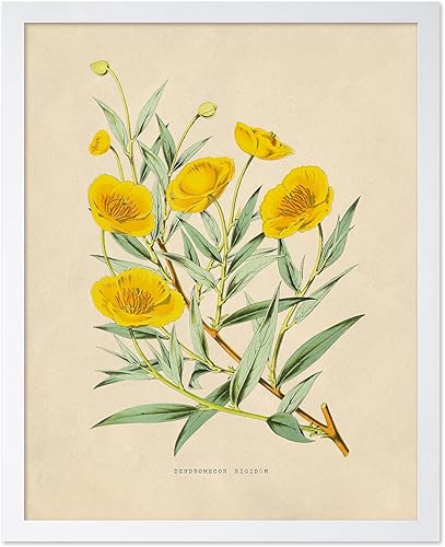 Miniatura 19 de Poster Master Póster de flores vintage, estampado botánico retro, arte floral antiguo, arte de plantas, regalo para hombres y mujeres, gran