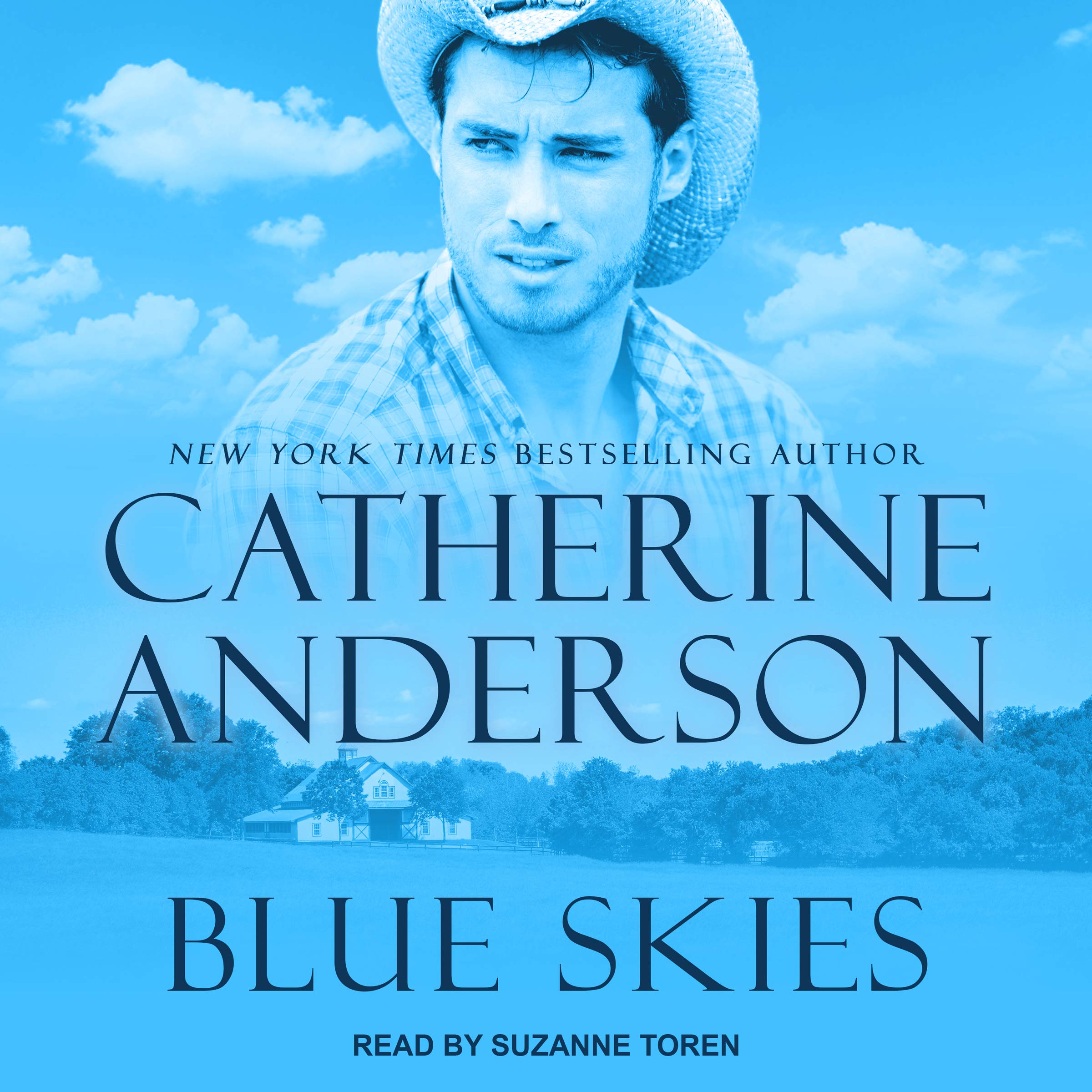 Cover art for Blue Skies