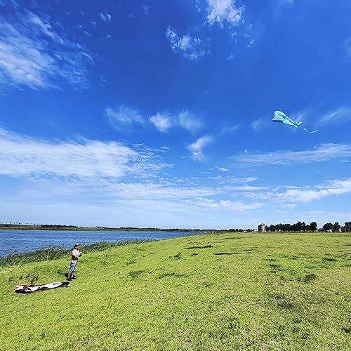 Miniatura 5 de Kaiciuss Cometa Orcas para niños y adultos, cometa de playa grande 3D de una sola línea, enorme cometa suave sin marco, cometa gigante de brisa de