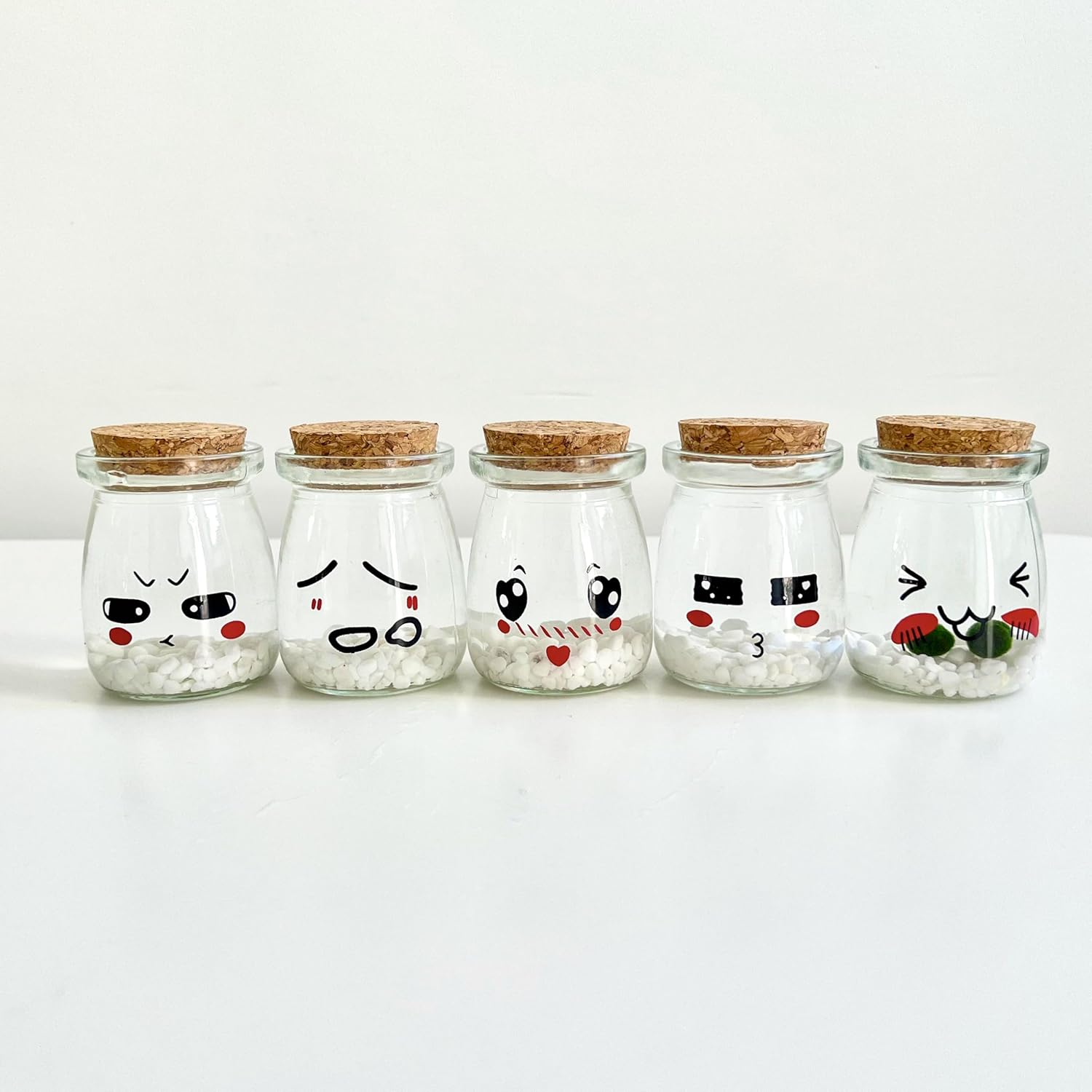 Desktop Aquarium Set Cute Face Glass Jar with Cork, 2pcs Live Aqua Balls, DIY Terrarium Gift (5 Sets)