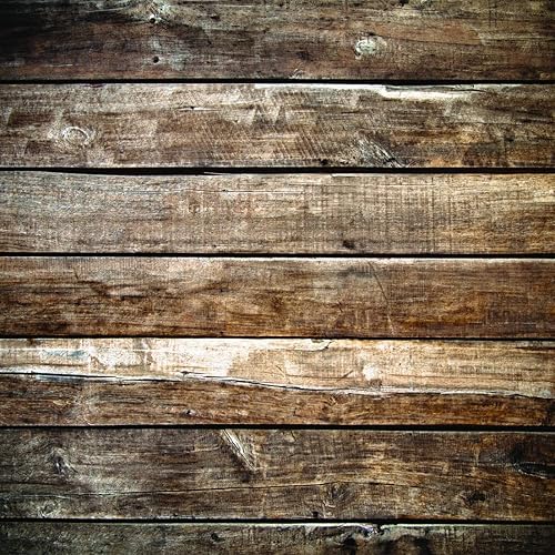 LYWYGG Fondo de fotografía de 10 x 10 pies Fondos de madera marrón Fotografía Piso de madera Fondo de pared Fotógrafos CP-172-1010