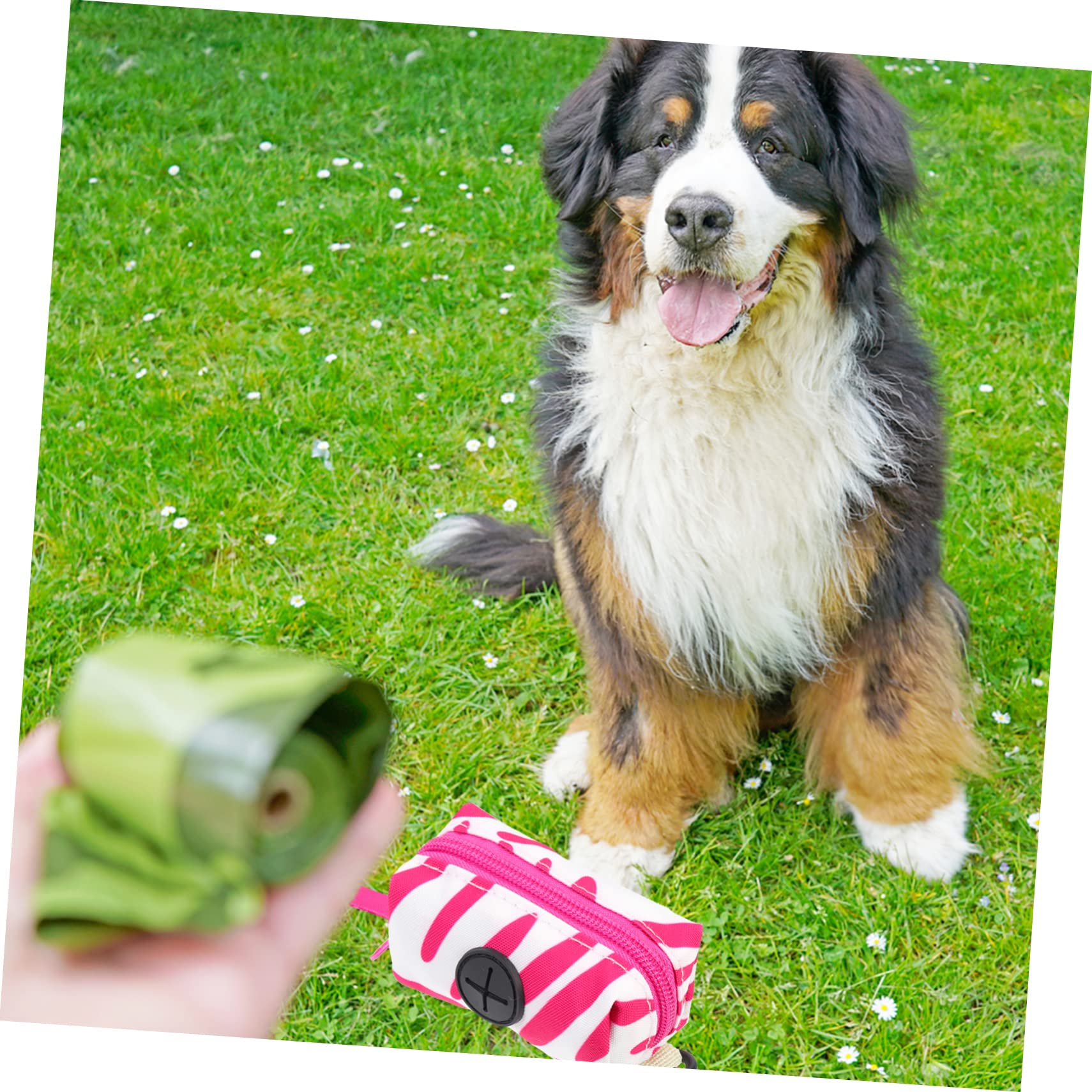 Sosoport 5 Uds Bolsa Para Excrementos De Perro Bolsa De Almacenamiento Bolsa Para Excrementos De Perro Para Correa Contenedor De Bolsa Para Excrementos Bolsa De Basura Para Perros Soporte