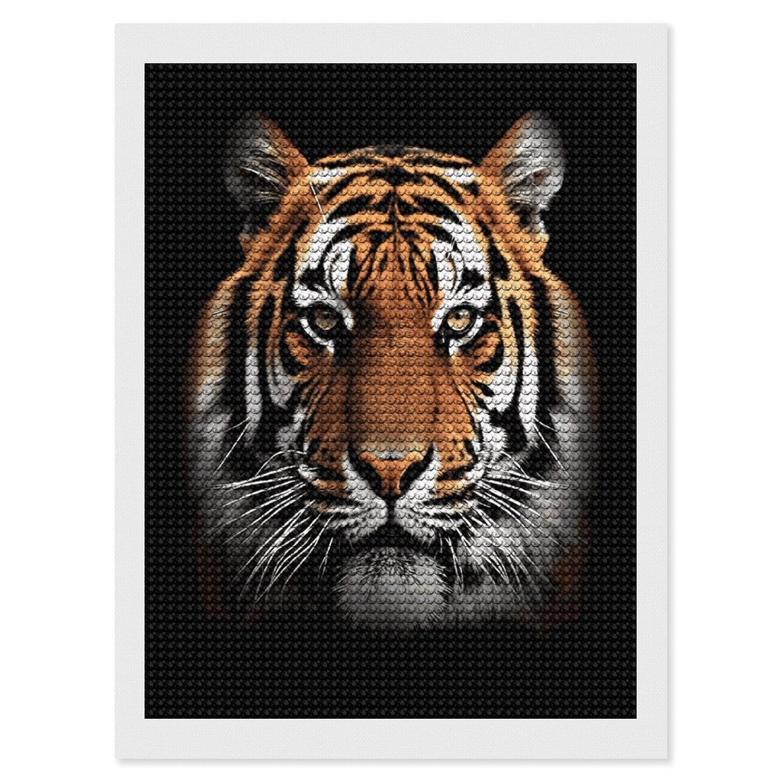 LDGSUPH Tiger Face Diamond Painting Kits for Adults Paint with Diamond Pictures Art DIY Full Drill Diamond Dots Painting Personalized Diamond Photo for Home Wall Decor Gift 12"x16"