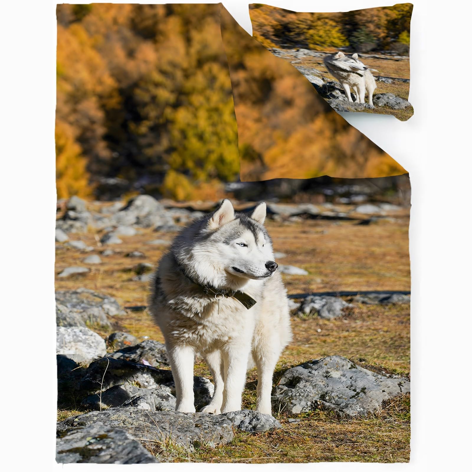 Housse de couette 200x200 cm animal de compagnie avec 2 taies d'oreiller microfibre