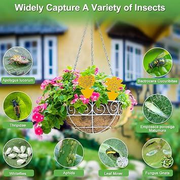 Fruit Fly Traps, Triitech 100 Pack Sticky Fly Traps, Sticky Bug Fungus Stickers for Indoor and Outdoor