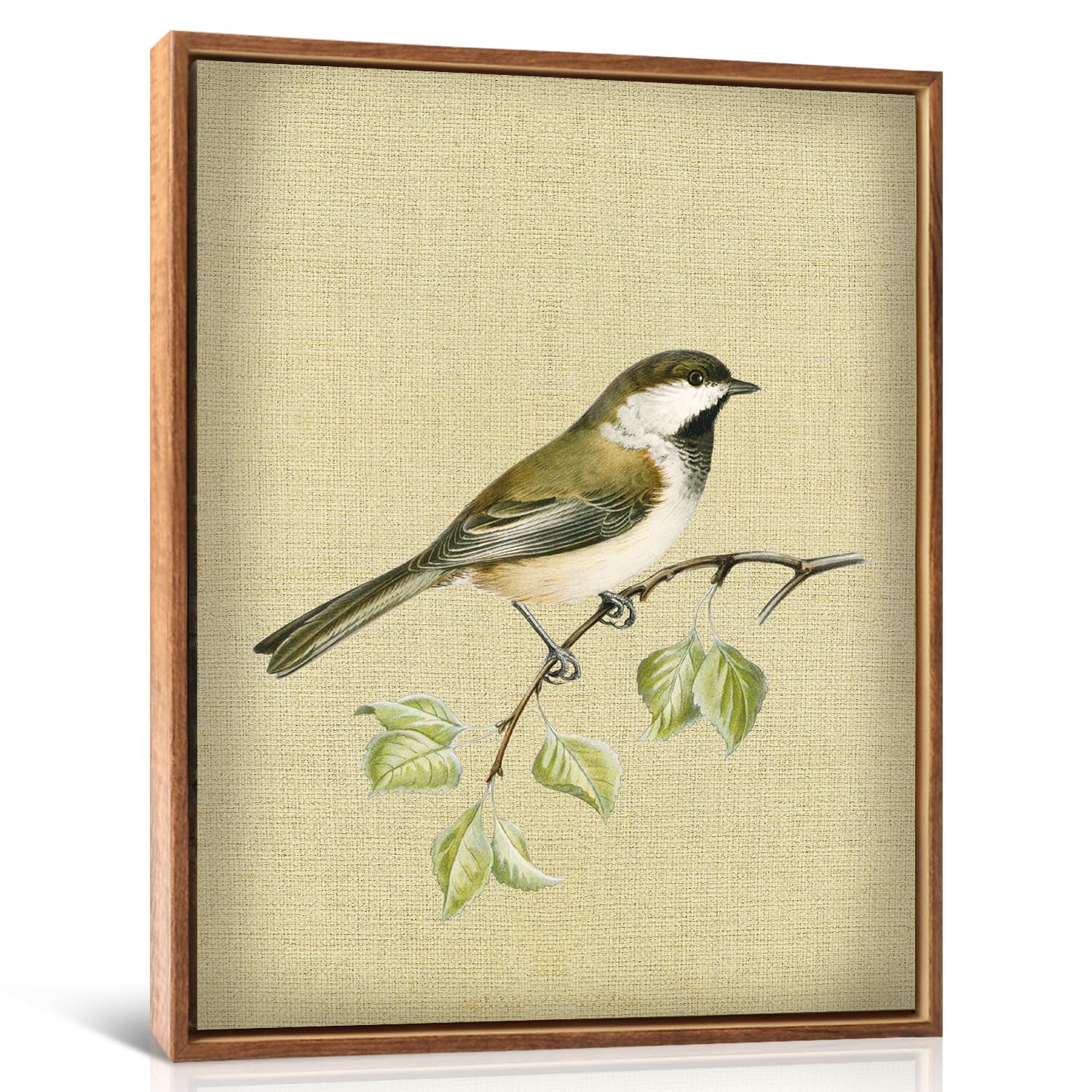 LHIUEM 12x16 Vintage Bird Prints Wall Art