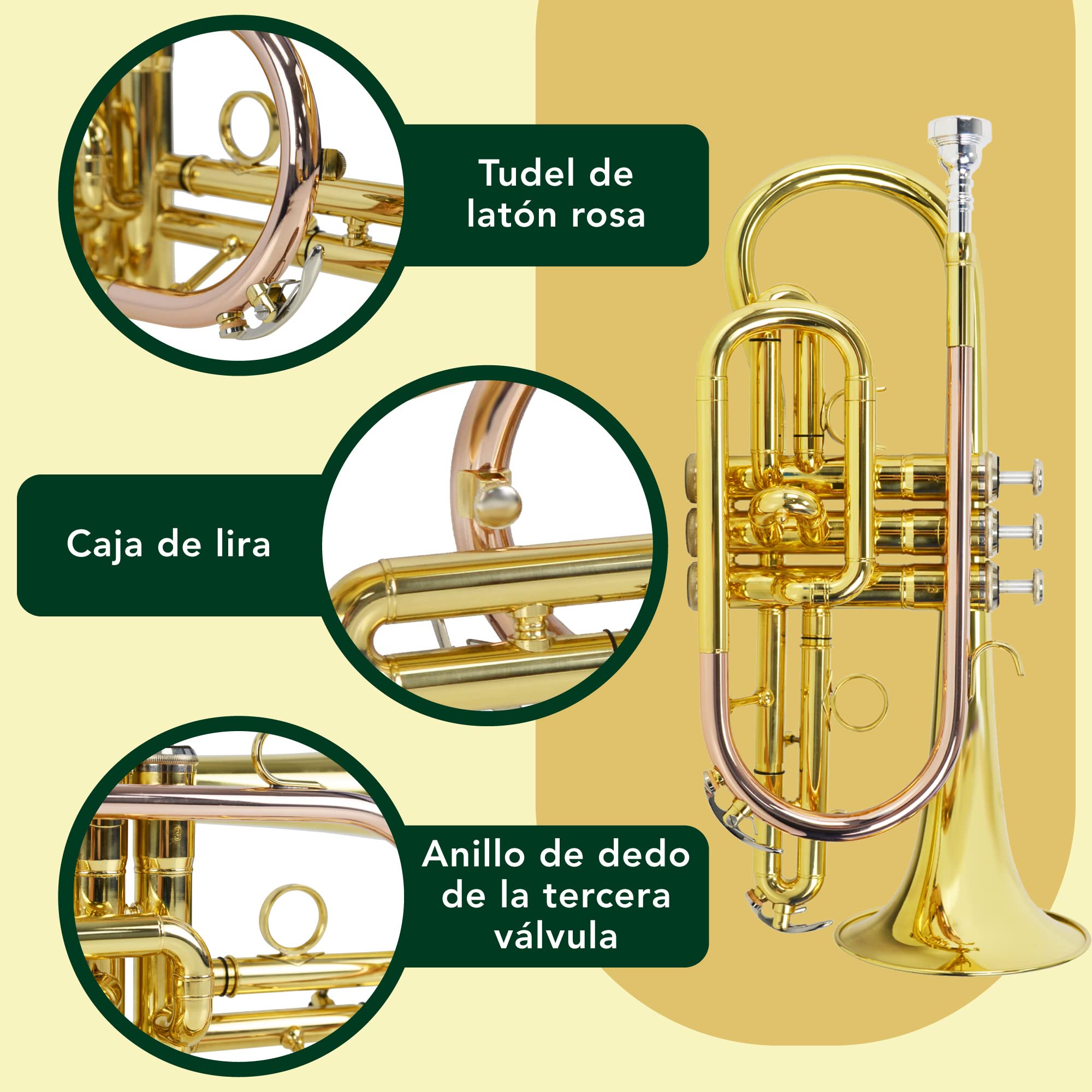 Montreux Student Bb Cornet Para Principiantes Con Estuche De Transporte Protector Ligero, Boquilla - Latón De Laca, Campana De 4.75 Pulgadas / 12 Cm, B Plana