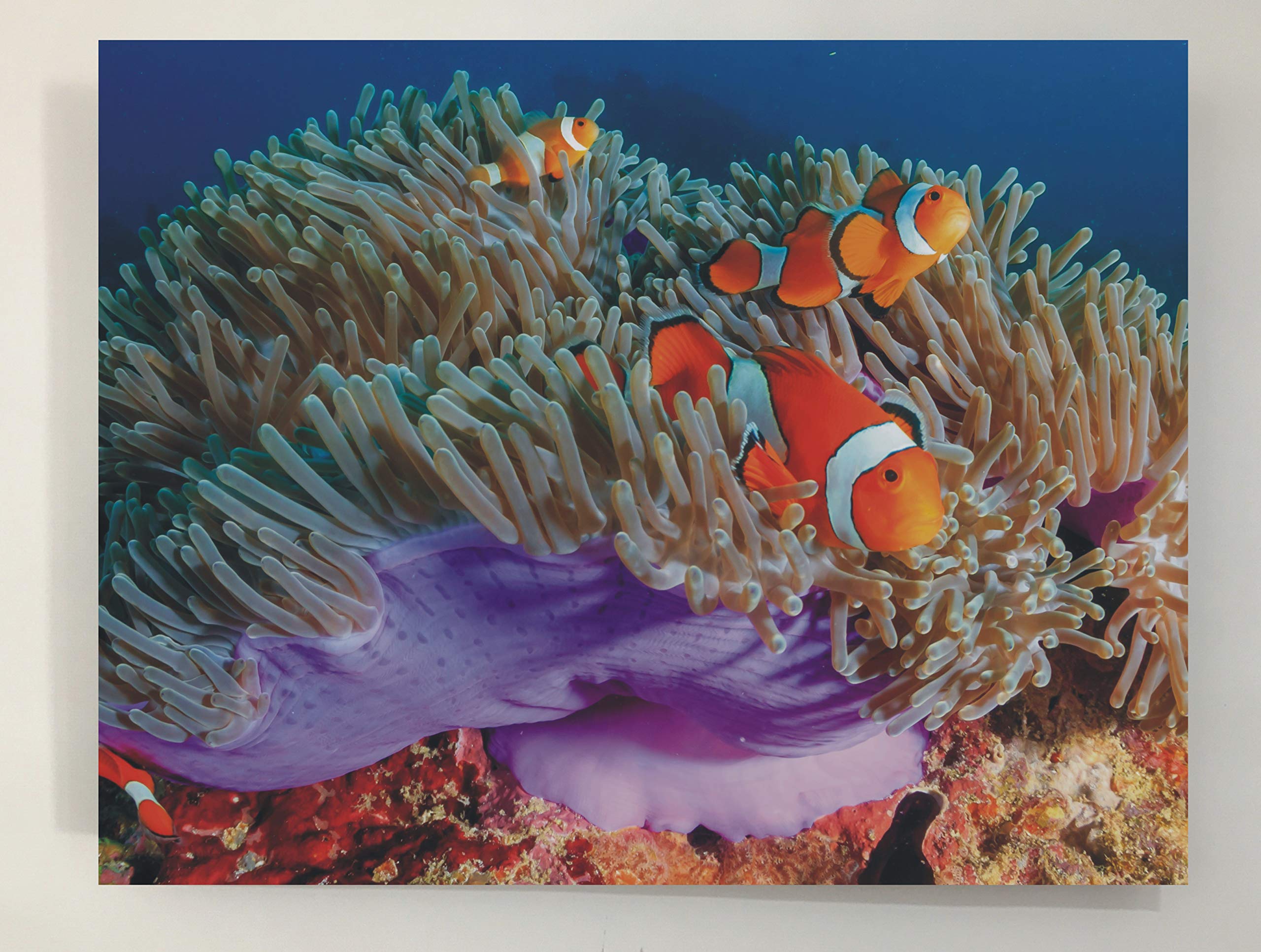 Quadro Retroilluminato Oceano
