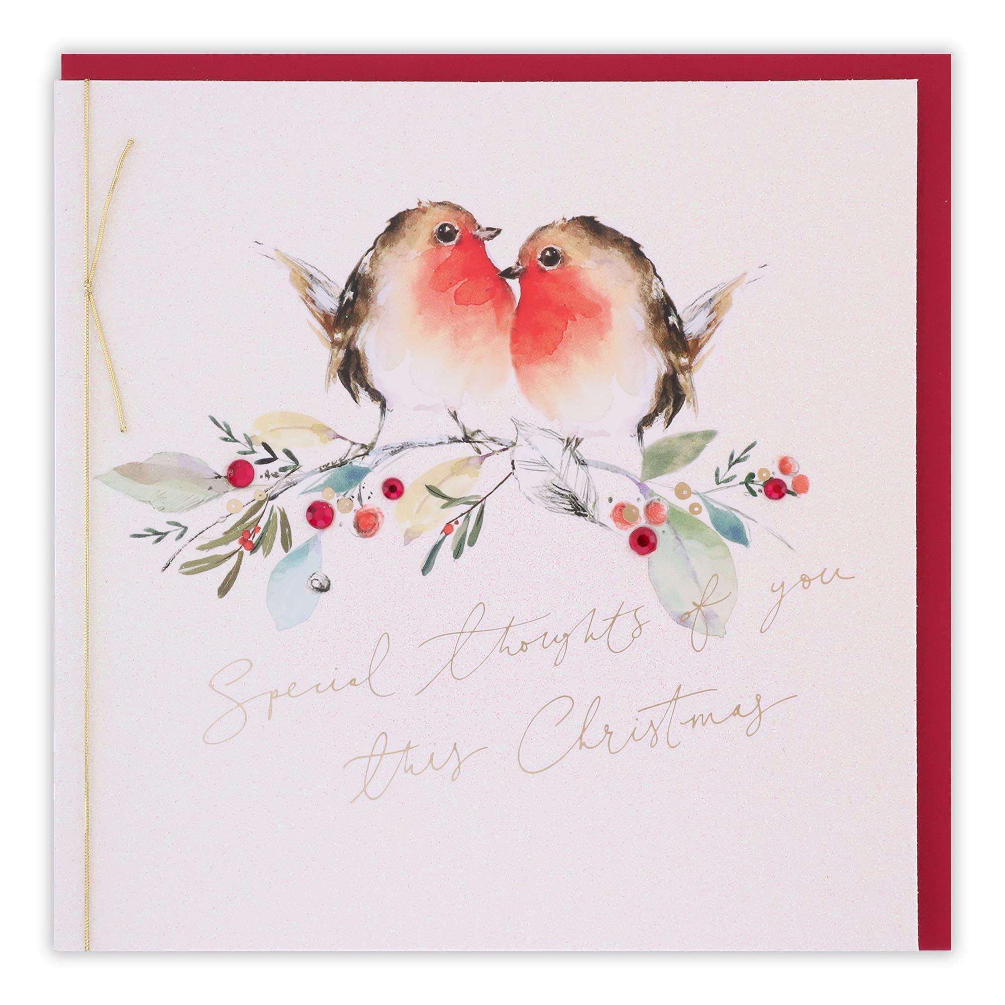 Clintons: Two Robins On Branch General Christmas Card, Multi-colour, 165 x 165, 1169568