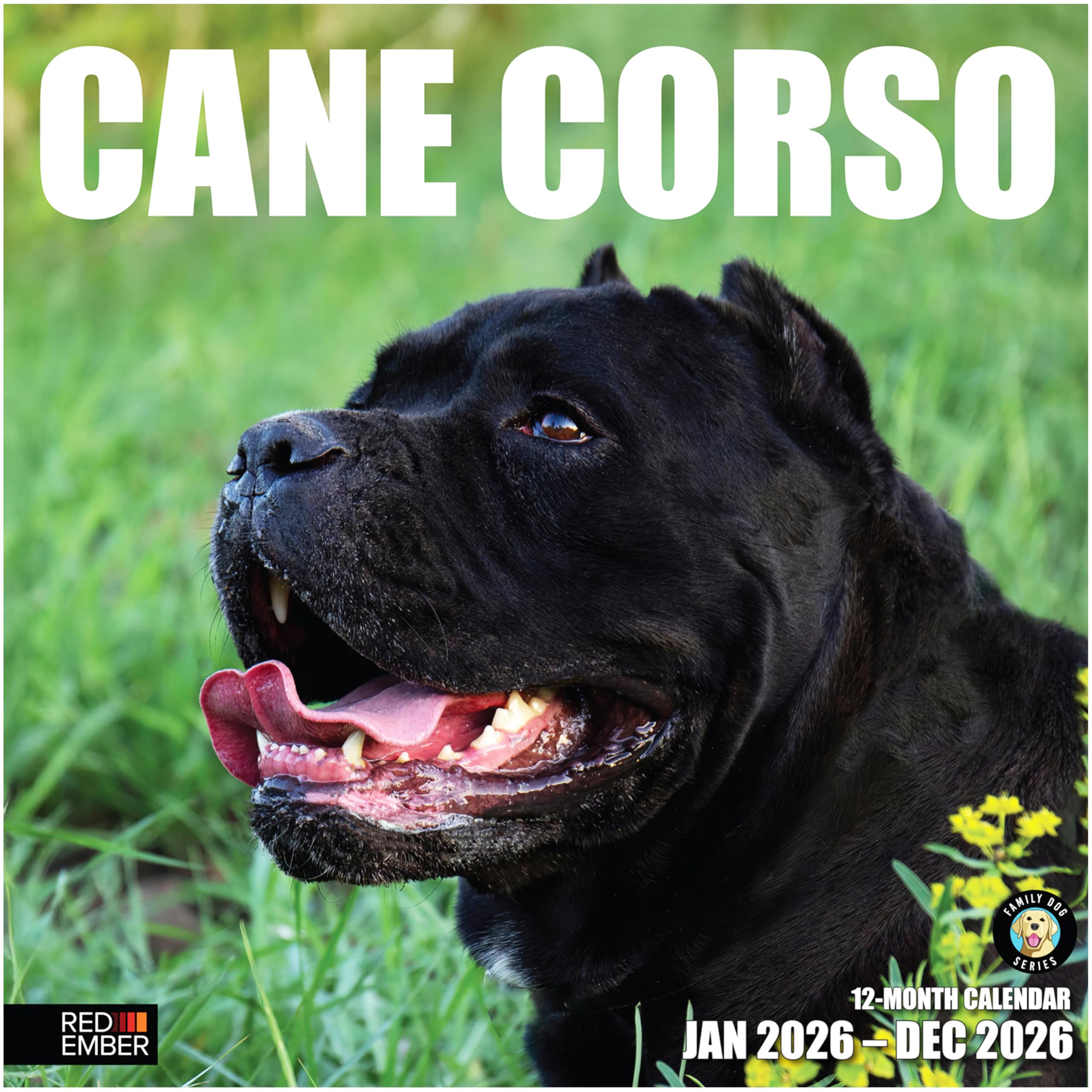 RED EMBER Cane Corso 2026 Wall Calendar 12 Month | 12" x 24" Open | Thick &amp; Sturdy Paper | Holiday Gift | Cute Puppy Dog Calendar 2026