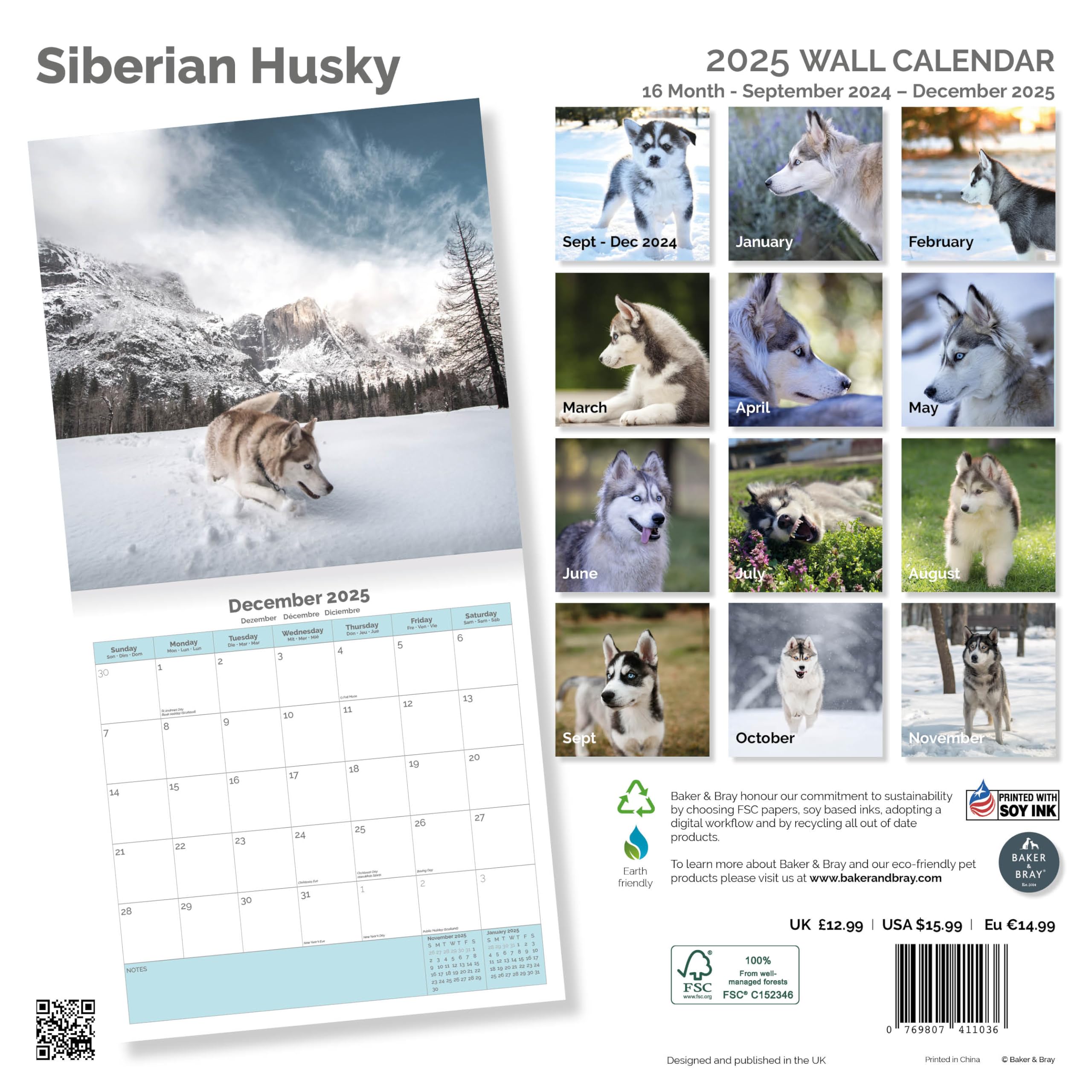 Baker and Bray Siberian Husky Calendar 2026, Large Square Wall Calendar With Organisational Stickers, 16 Month - Image 2