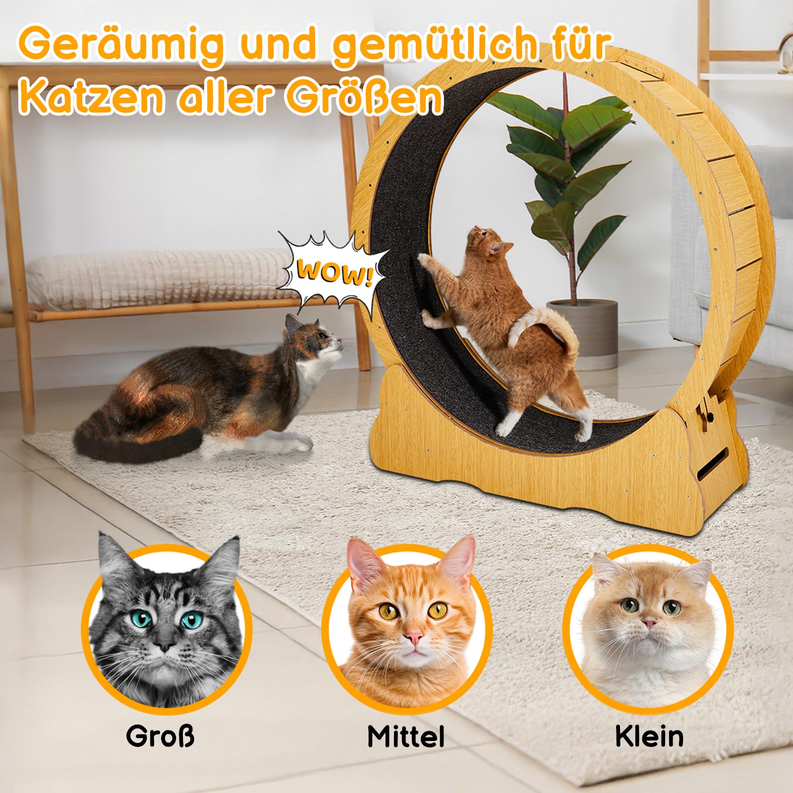 LEADZM Katzenlaufrad | 100cm Durchmesser - Laufrad Katze für große Katzen - Hochdichte Faserplatte, Kratzfest, stabil und leise - Geeignet für Katzen mit einem Gewicht bis zu 11 kg, Holzfarbe