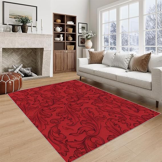 BZRNGD Modern Style Area Rug 6x9 Washable Rugs for Living