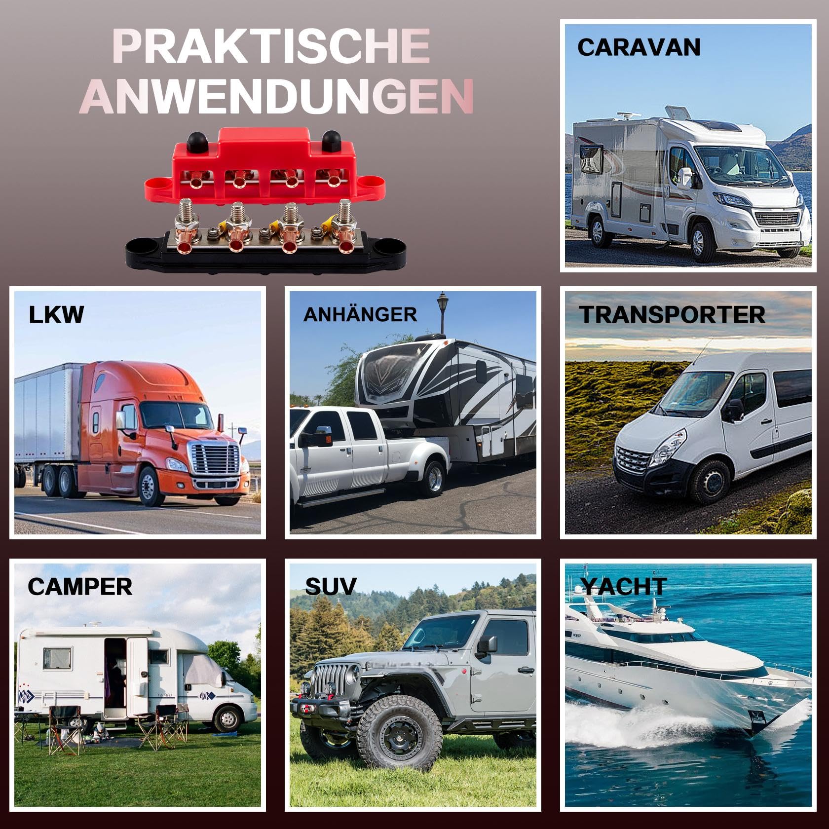 Pindex Sammelschienen Verteilerblock 250AMP DC 12V-48V mit 4 x M8 Klemmenbolzen für Wohnmobile, Schiffe, Yachten, Auto, LKW