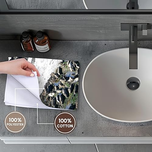 Miniatura 4 de 3dRose Toalla de mano 15x22 - Seals at The Coast at The Carpinteria Harbor Seal Rookery. Diseños - Animal