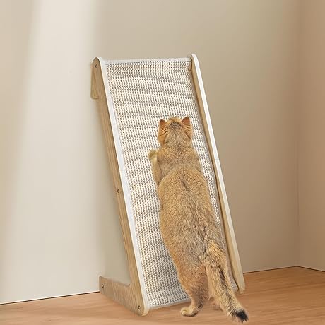Modern and Sustainable Cat Scratcher Ramp: The Perfect Floor Protector for Precious Plants