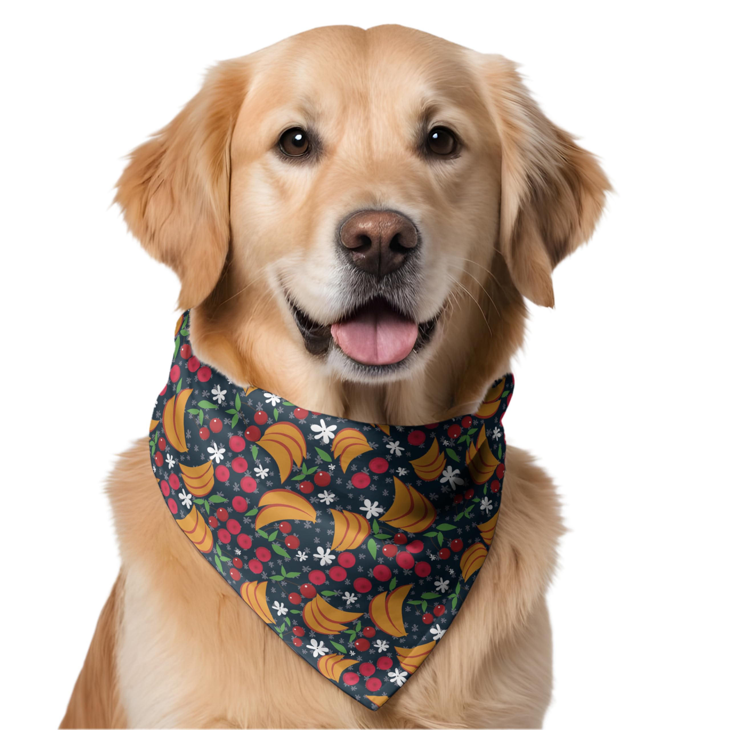 W Brings Cherries & Bananas Dog Bandana/Scarf | This Stunning Gorgeous Design Dog Bandana Scarf is Perfect Styling Accessory for Dogs Large, Medium & Small. One Size Fits All. (B09V82JZ32) Amazon Price History, Amazon Price Tracker