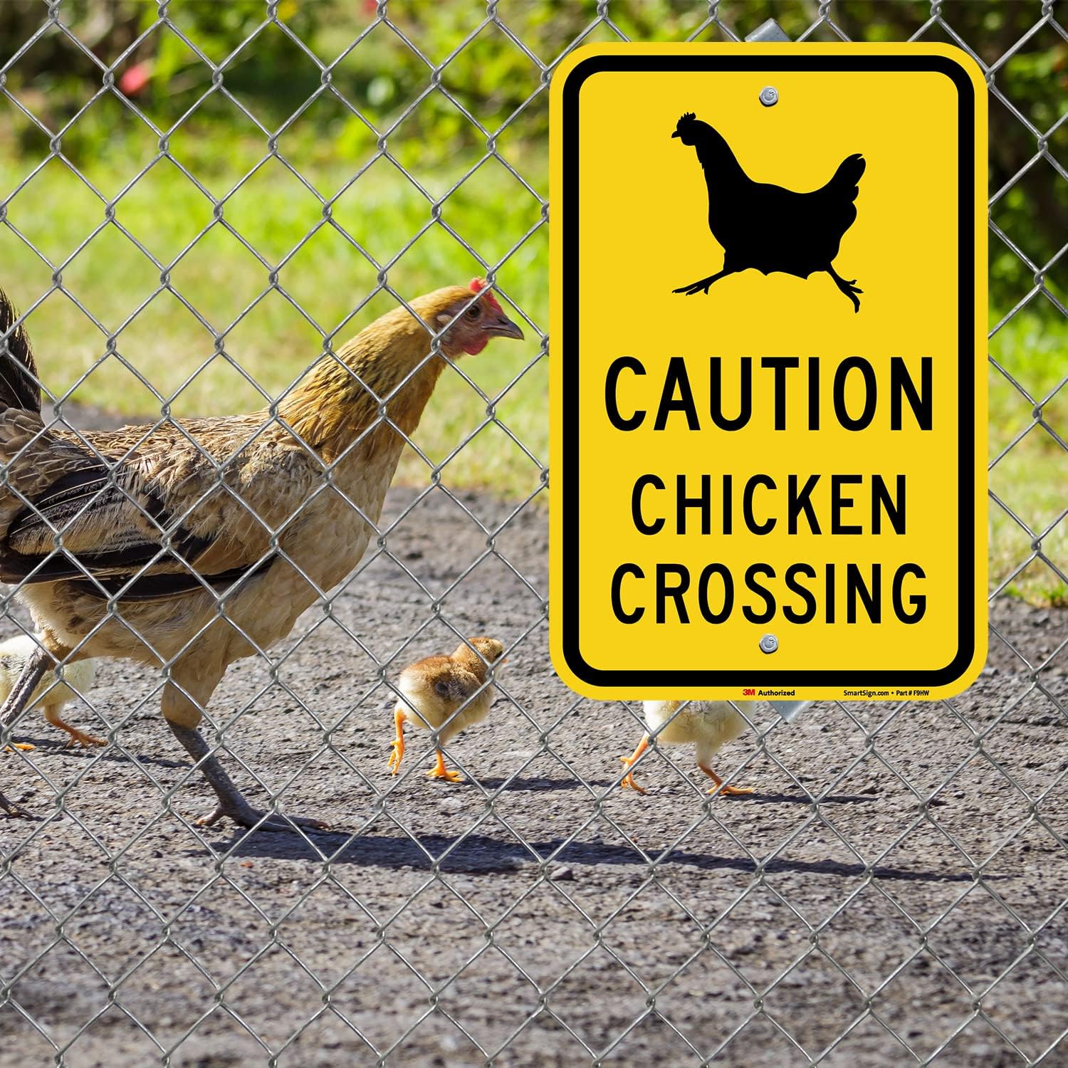 SmartSign 18 x 12 inch “Caution - Chicken Crossing” Metal Sign, 63 mil Aluminum, 3M Laminated Engineer Grade Reflective Material, Black and Yellow, Made in USA