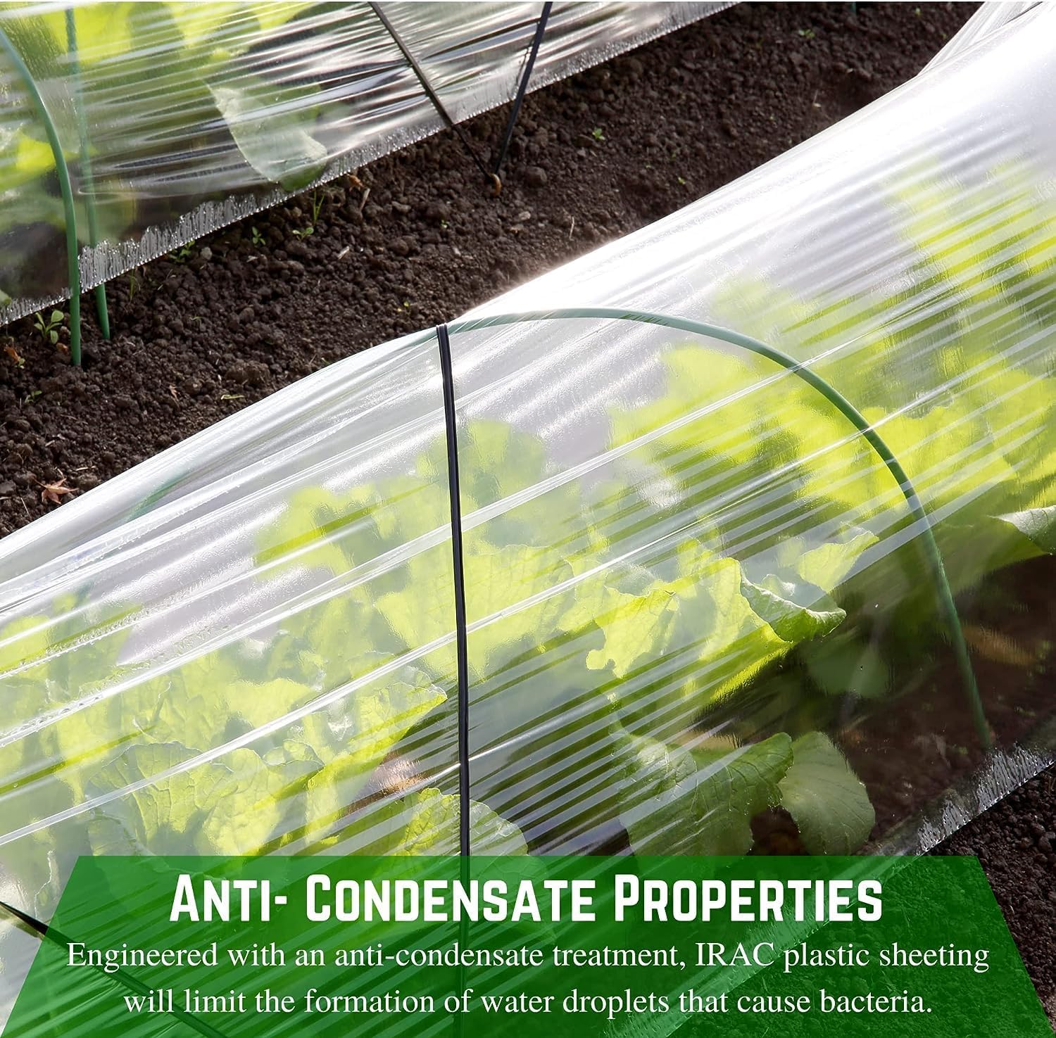 Farm Plastic Supply - Clear Coolmax Greenhouse Plastic Sheeting - 6 Mil - 4 Year UV Resistant Infrared Anti-Condensate Green House Covering Thermal Greenhouse Plastic 6 mil (24' x 50')