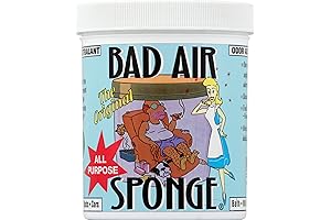 Odor Be Gone! Nature's Air Sponge, the Best Odor Absorber Neutralizing Minis