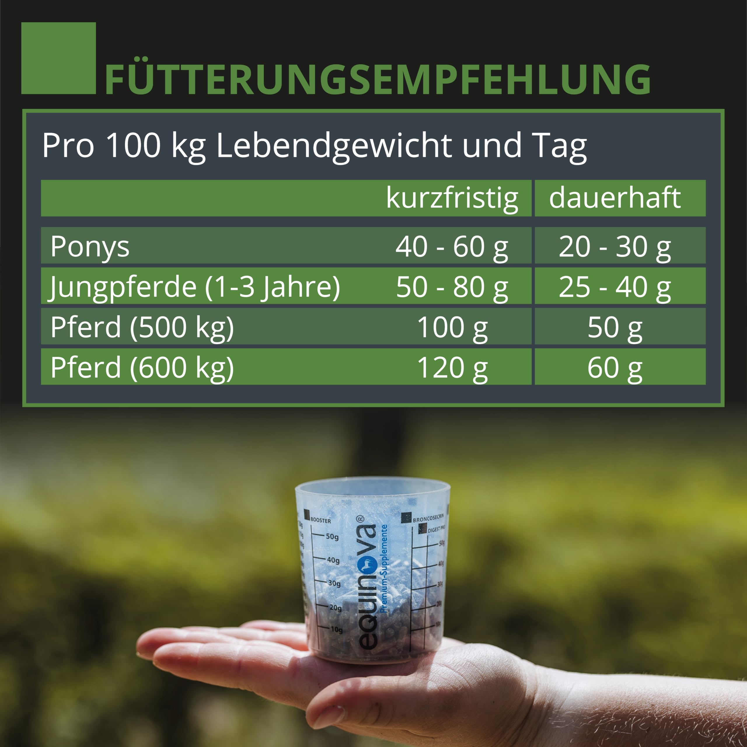 Gastro RENON 3kg - für Magen- und darmempfindliche Pferde – mit Magnesium, Vitaminen, Zink – Ergänzungsfuttermittel