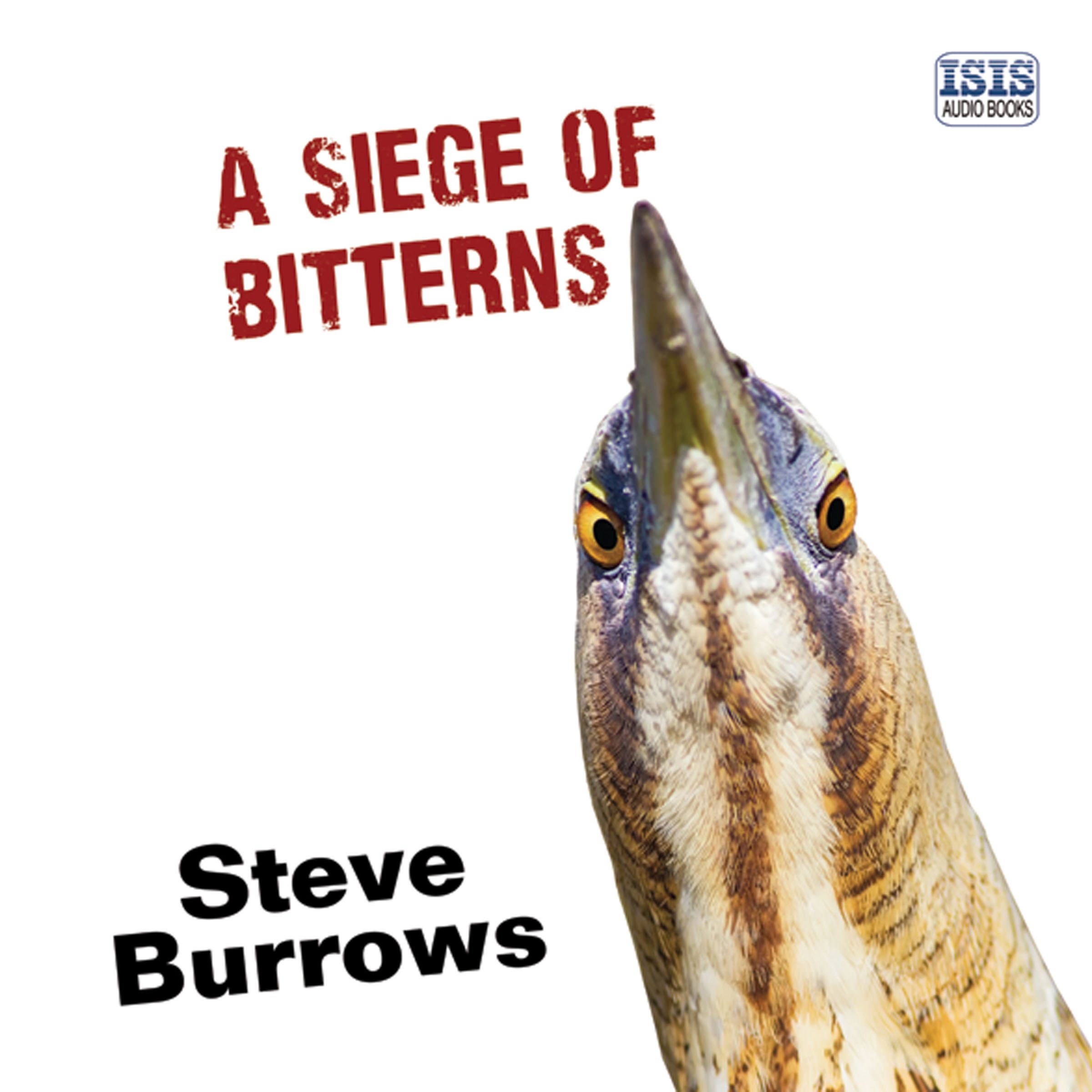 Cover art for A Siege of Bitterns