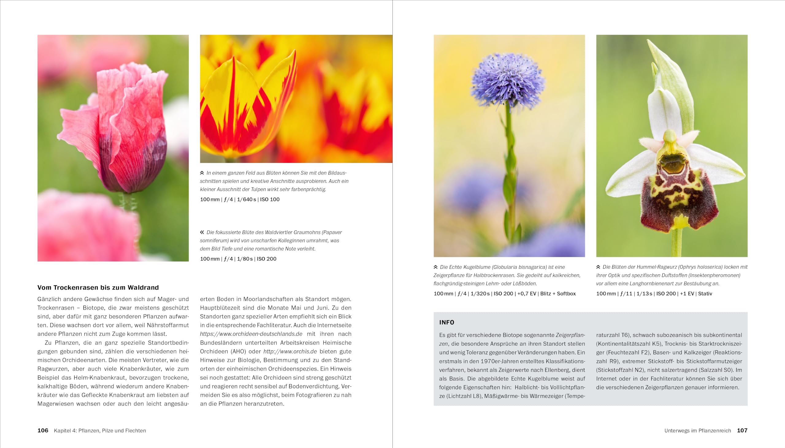 Makrofotografie: Die große Fotoschule. Pflanzen, Insekten und Objekte fotografieren. Ausrüstung, Technik, Bildgestaltung, Motivideen (Auflage 2024)