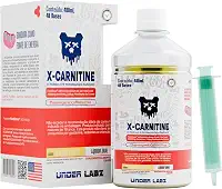 X-Carnitine Lipo Drive | Under Labz | Linha Essentials (480ml) – 48 doses | L-Carnitina Líquida, Energia e Foco Metabólico – Suplemento para Definição e Performance Diária (480ml (48doses), Yellow Fruits)