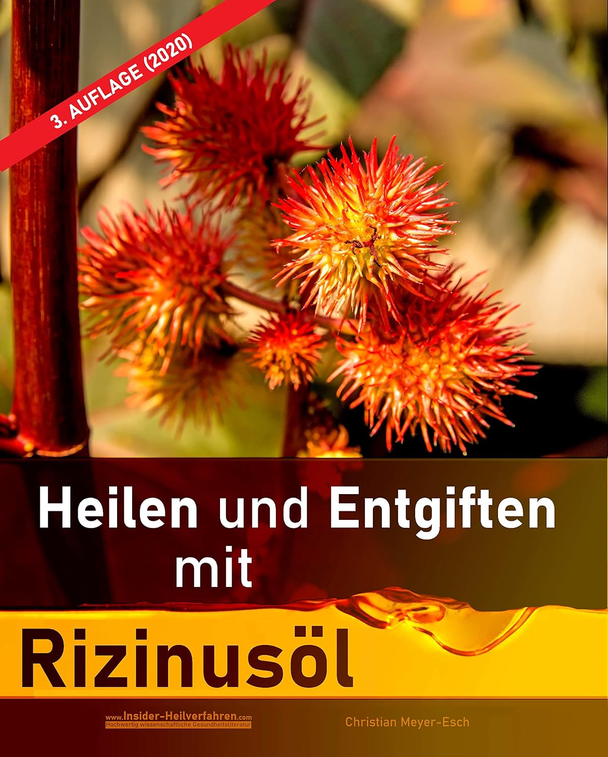 Heilen und Entgiften mit Rizinusöl: Geheimtipp zur umfassenden Entgiftung (German Edition)