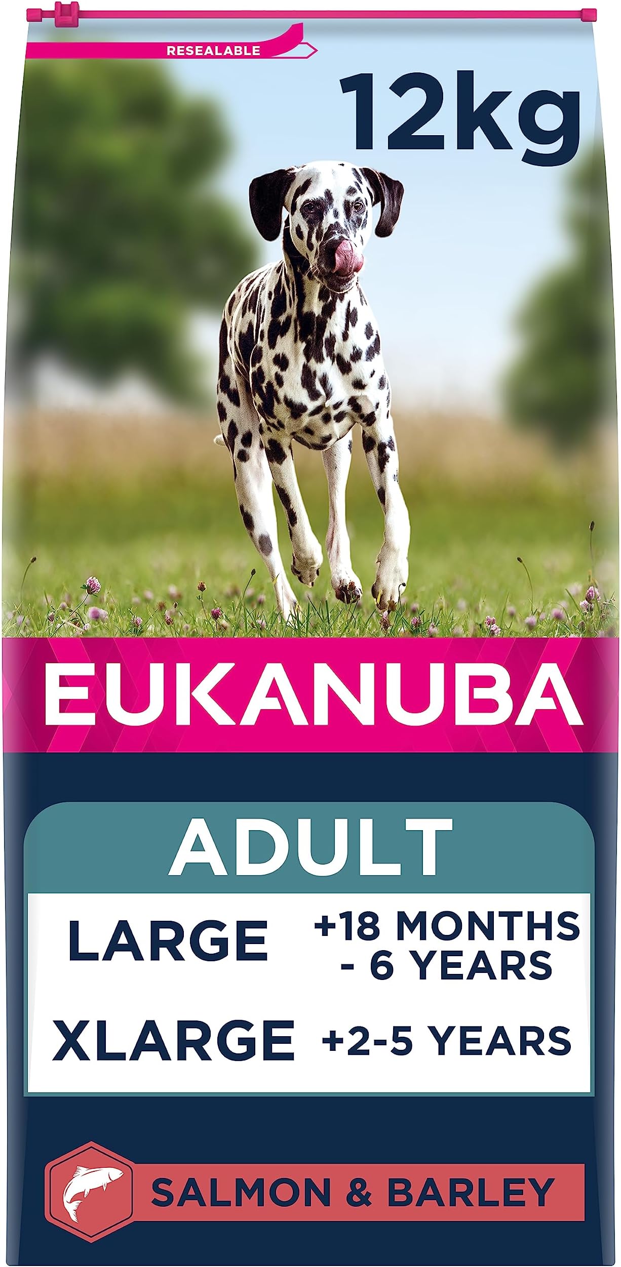 Complete Dry Dog Food for Adult Large and Giant Breeds with Salmon and Barley 12 kg