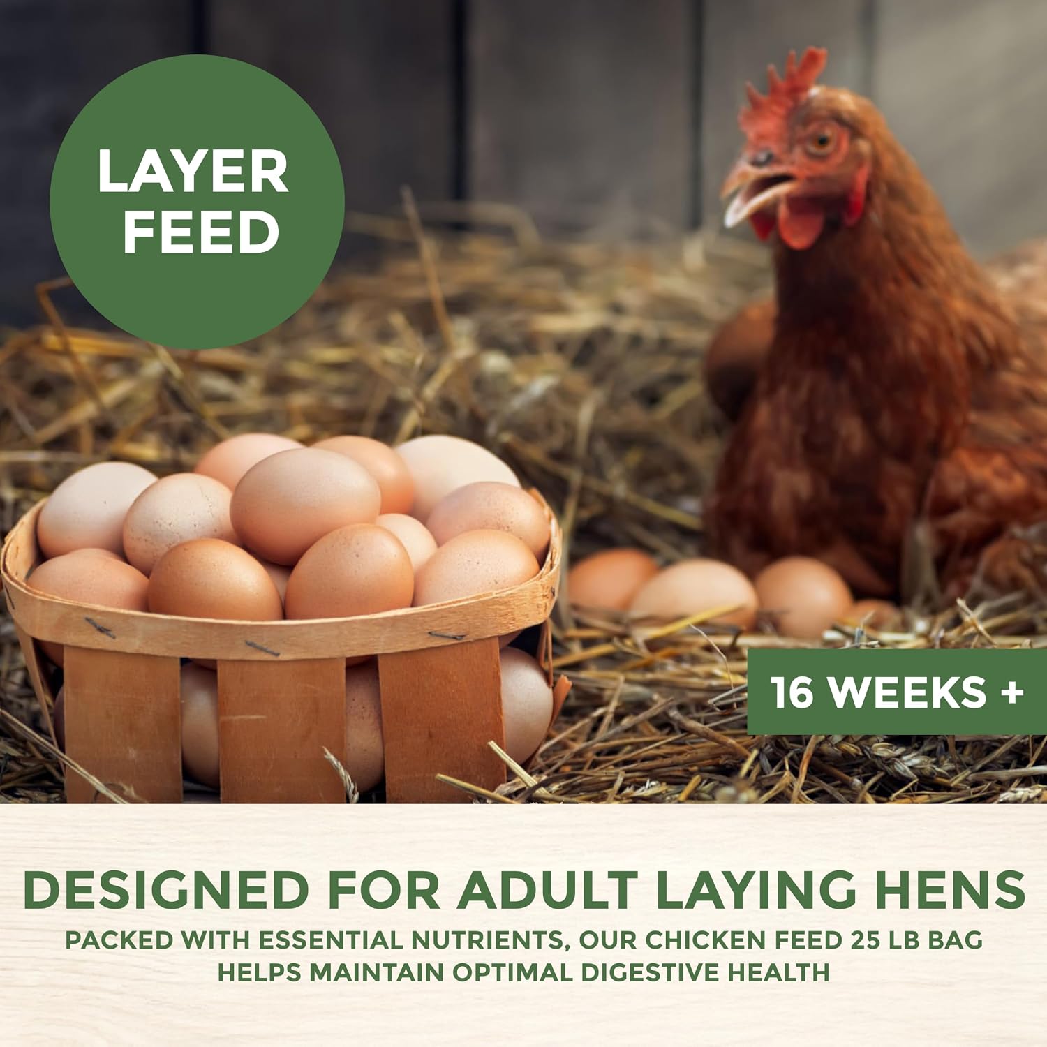 New Country Organics | Classic Layer Feed for Laying Hens | Soy-Free | 17% Protein | Certified Organic and Non-GMO | 25 lbs image 3