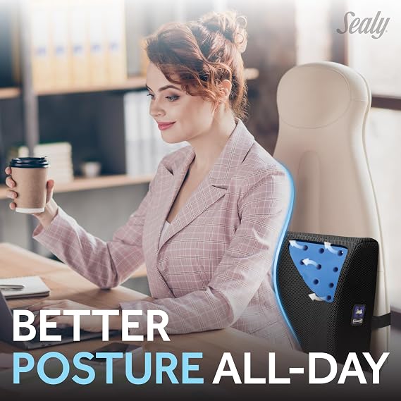 Sealy Lumbar Support Pillow with Cooling Gel Ergonomic Office Chair Cushion for Back Support Memory Foam Back Pillow for Car, Office, or Home, Black