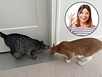 Vista 5 de Tapete para arañazos 30 - No deja que los gatos arañen el tapete en la puerta