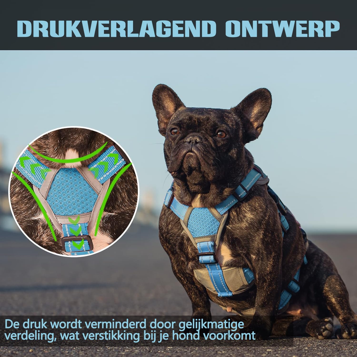 Paworld Ontsnappingsbestendig Hondentuigje, Volledig Reflecterend met Gewatteerd Handvat, Ademend, Duurzaam, Verstelbaar Vest voor Hondenwandeling, Training en Hardlopen (Blauw, M
