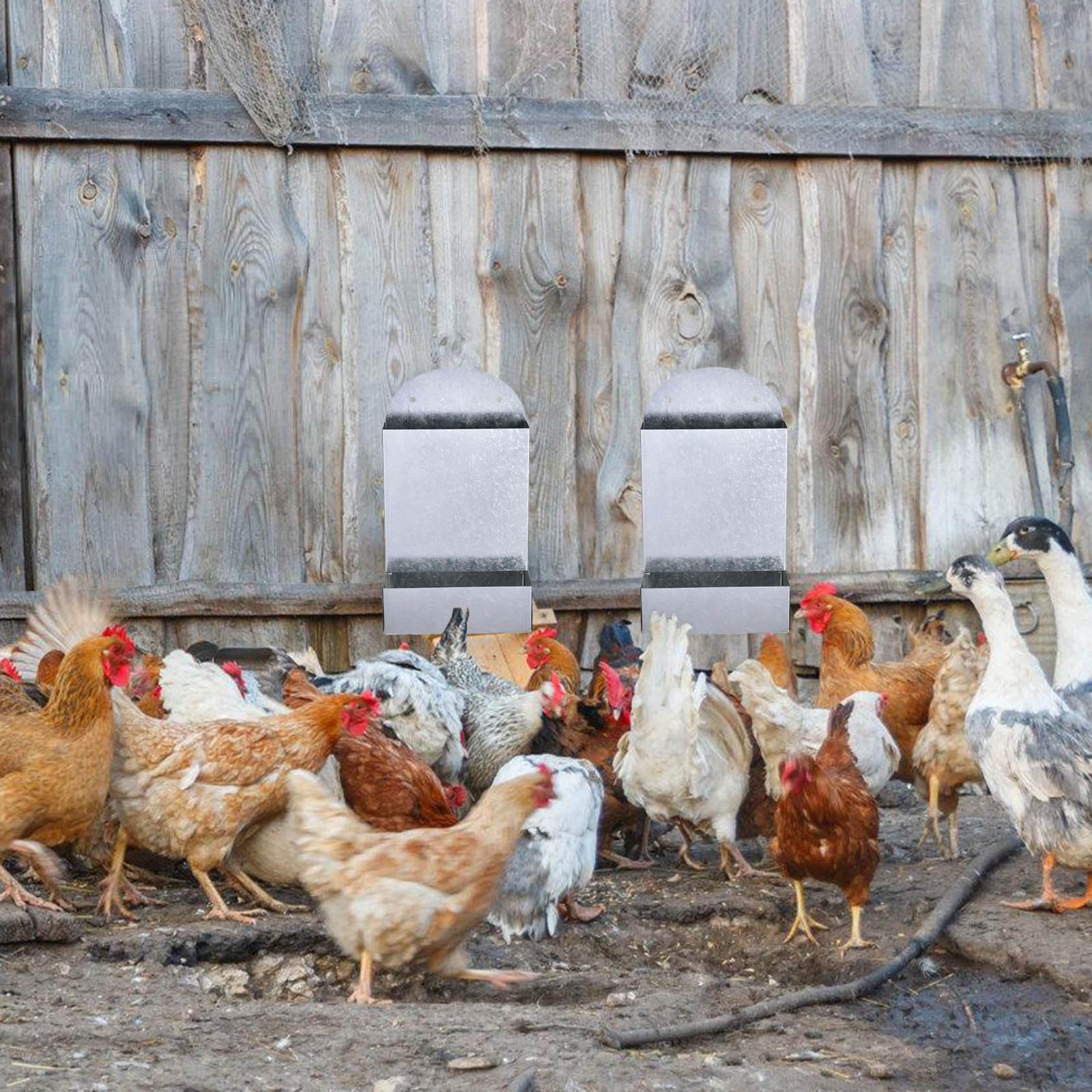 Mangiatoia per polli a tenuta stagna per minerali schiacciati e mangimi, design facile da montare, per piccoli stormi e pollai all'aperto