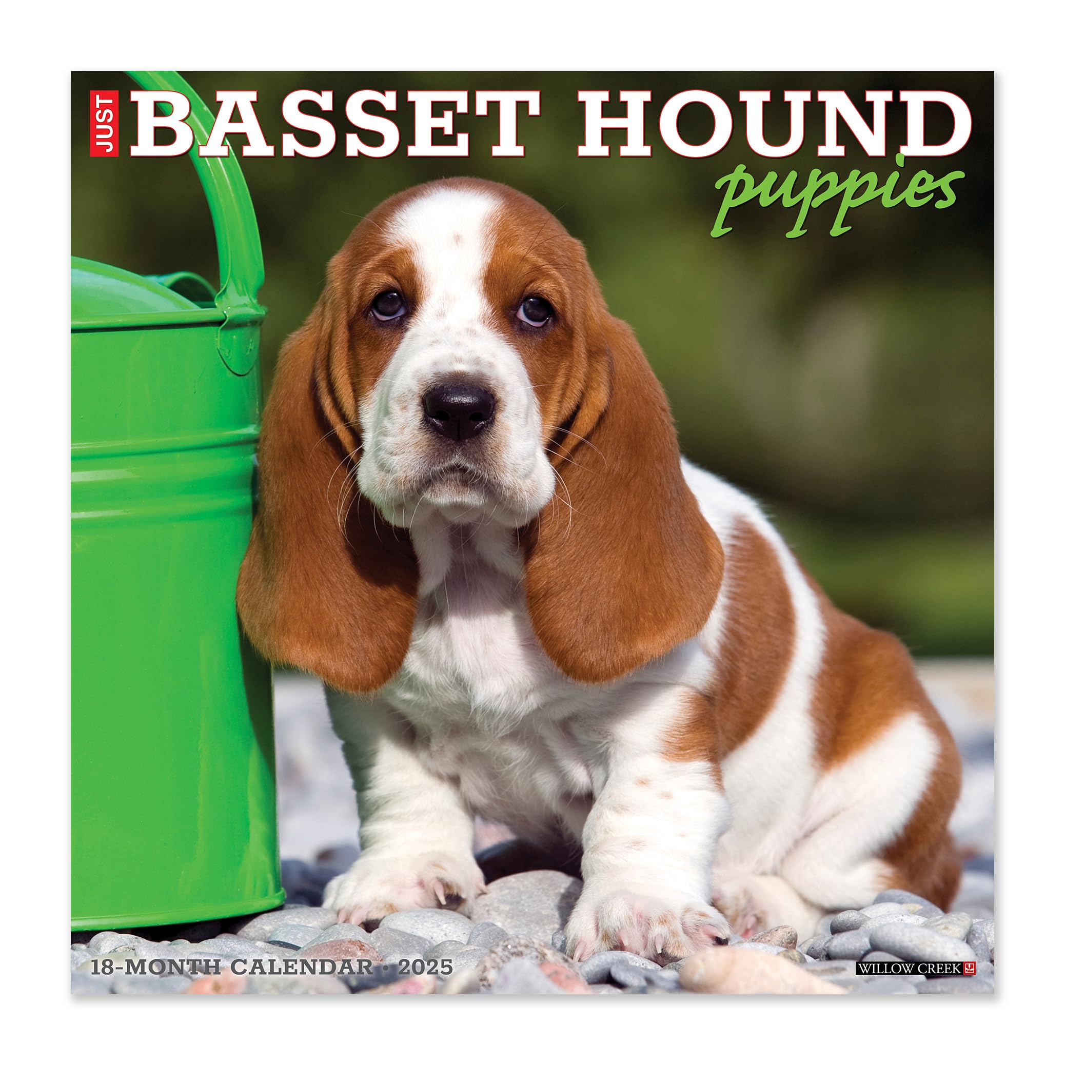 Willow Creek Press Calendars, Just Basset Hound Puppies 2025 Wall Calendar