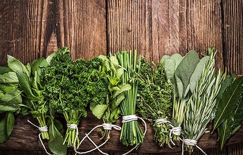 Miniatura 2 de Kit de jardín de hierbas | Paquete de 5 chef | Perejil, orégano, cilantro, eneldo y tomillo | 5 marcadores de plantas | Semillas de jardín de