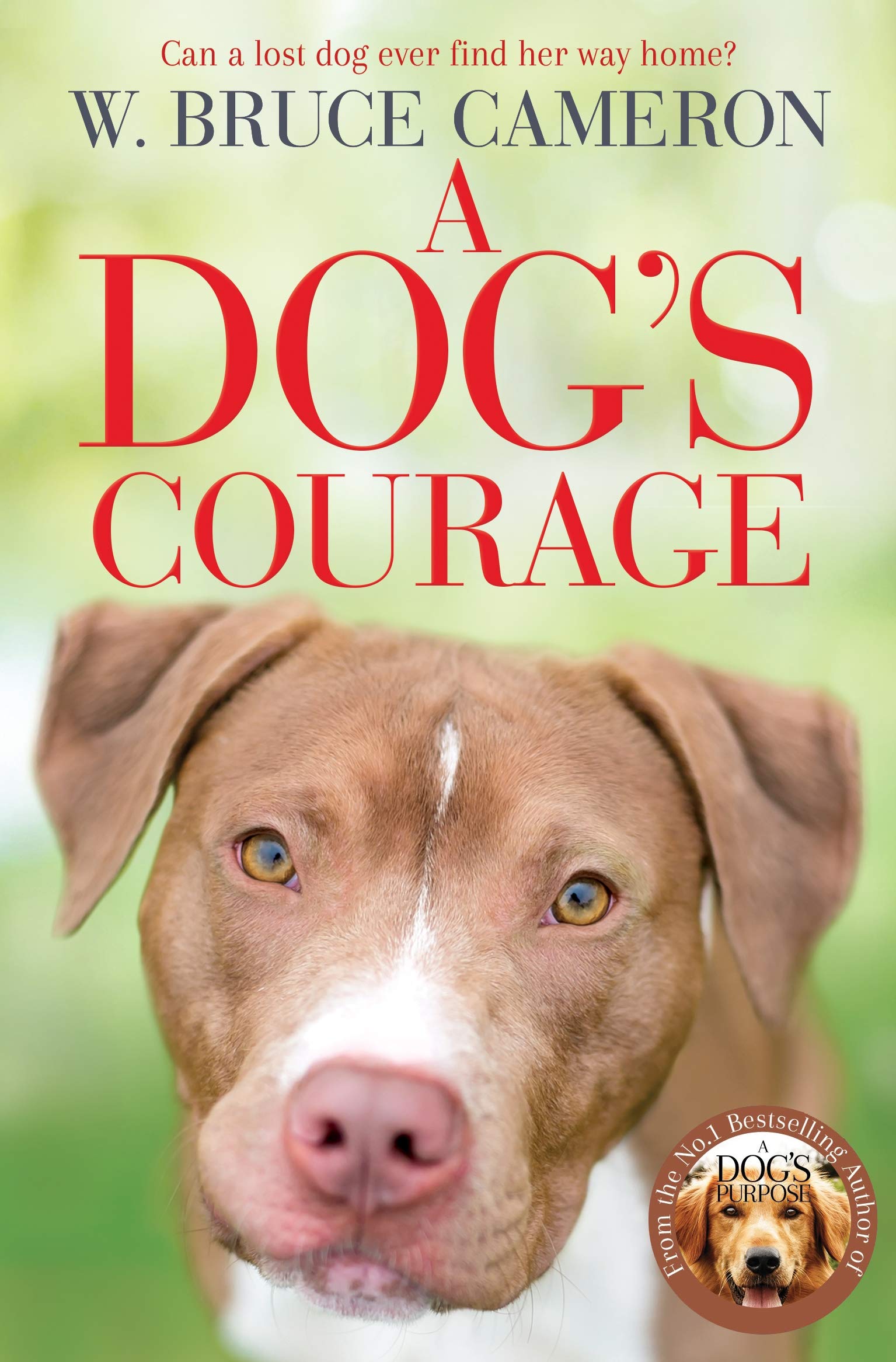 A Dog's Courage by W Bruce Cameron PAPERBACK 9781529075854