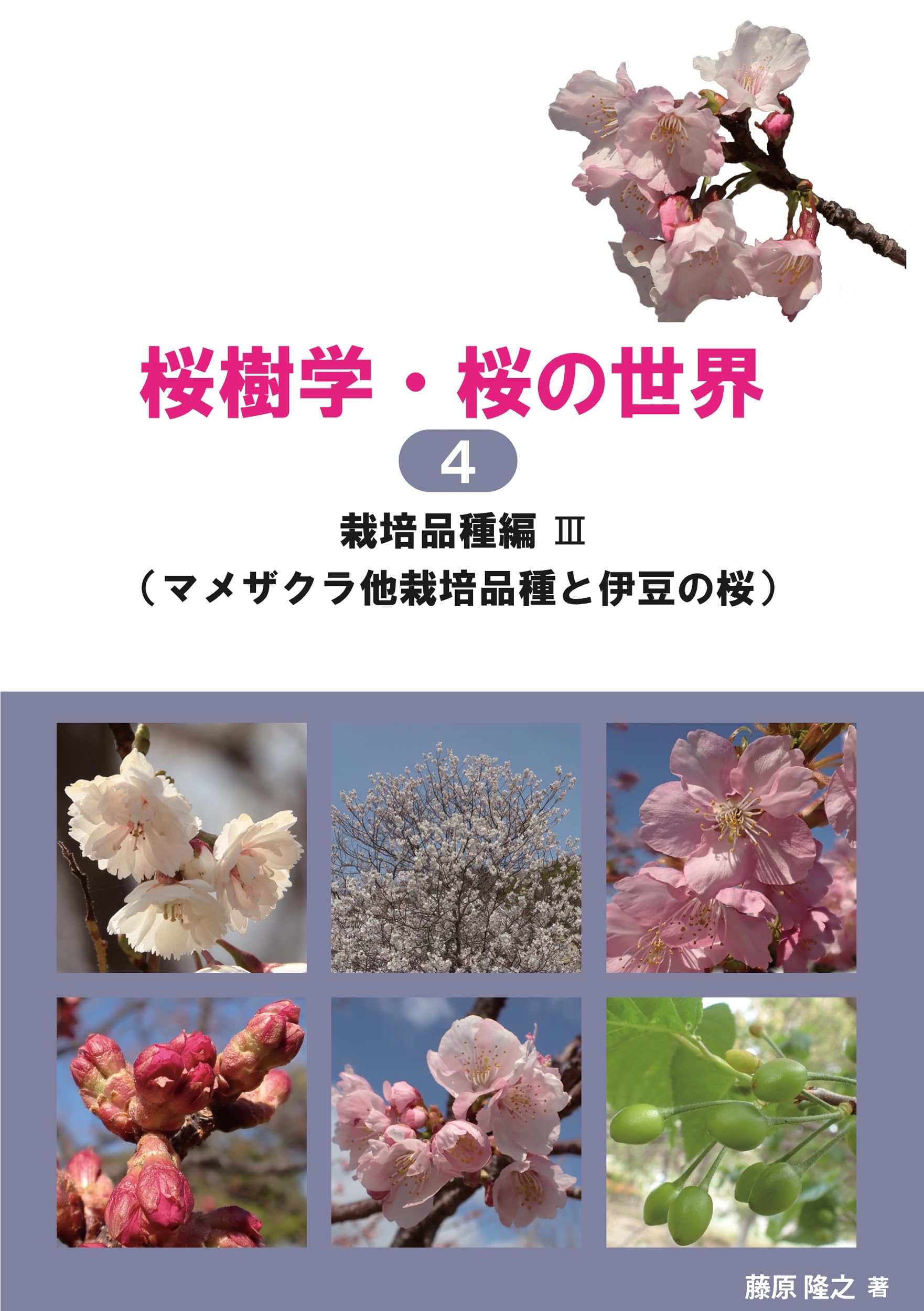 桜樹学・桜の世界4 栽培品種編Ⅲ（マメザクラ他栽培品種と伊豆の桜