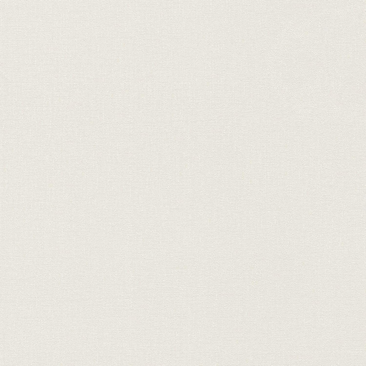 Papier peint intissé pour masquer imperfections mur crème beige mat