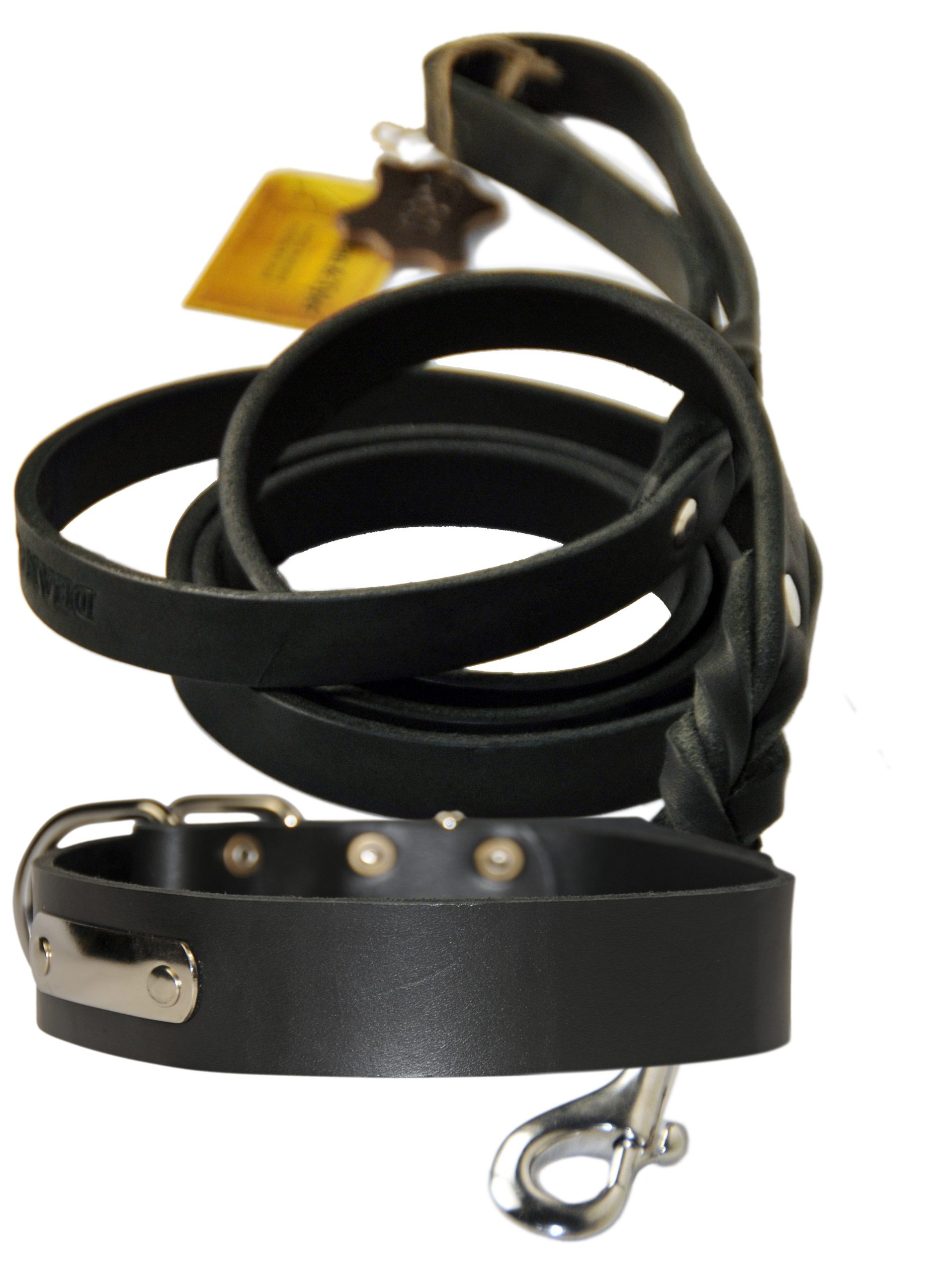 Collier en cuir argenté Dean & Tyler avec laisse en acier de 1,8m pour grand chien