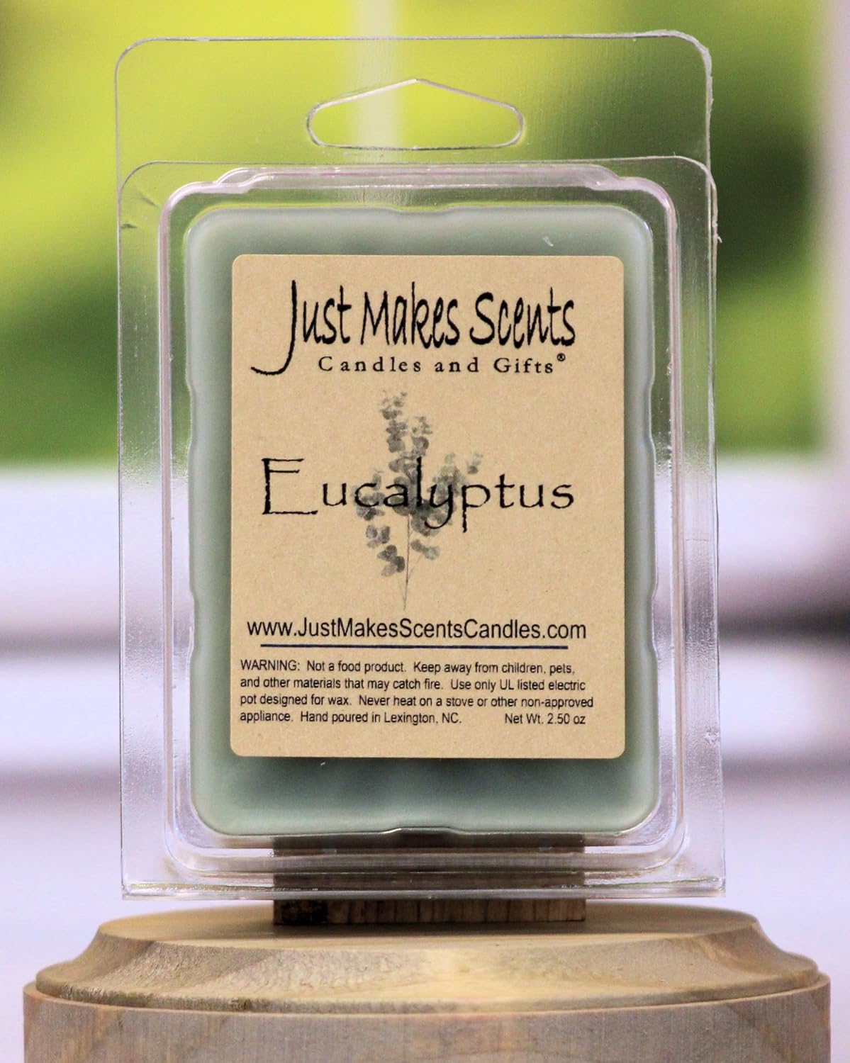 2 Pack - Eucalyptus Scented Soy Wax Melts | Long Lasting Fragrance Cubes | Hand Poured in The USA by Just Makes Scents Candles & Gifts
