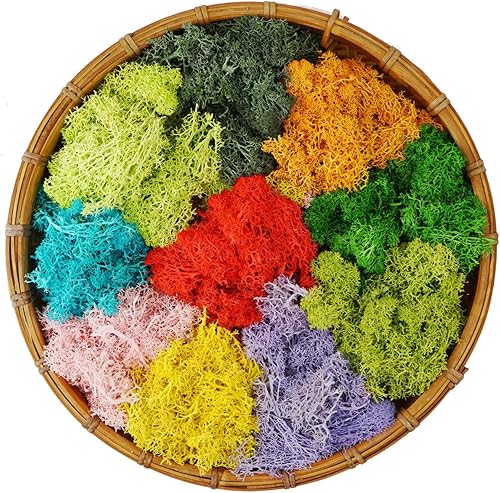 Samjobroad Musgo de reno preservado Decoración de musgo de 10 colores, musgo artificial, musgo de 7 onzas para manualidades, terrarios aderezo de