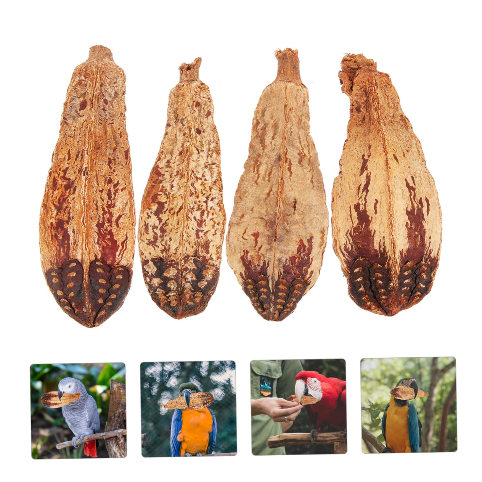 BESPORTBLE 20pezzi Giocattoli Da Masticare Per Uccelli Materiale Naturale Giochi Per Pappagalli e Parrocchetti Accessori Per Foraggiare e Divertirsi