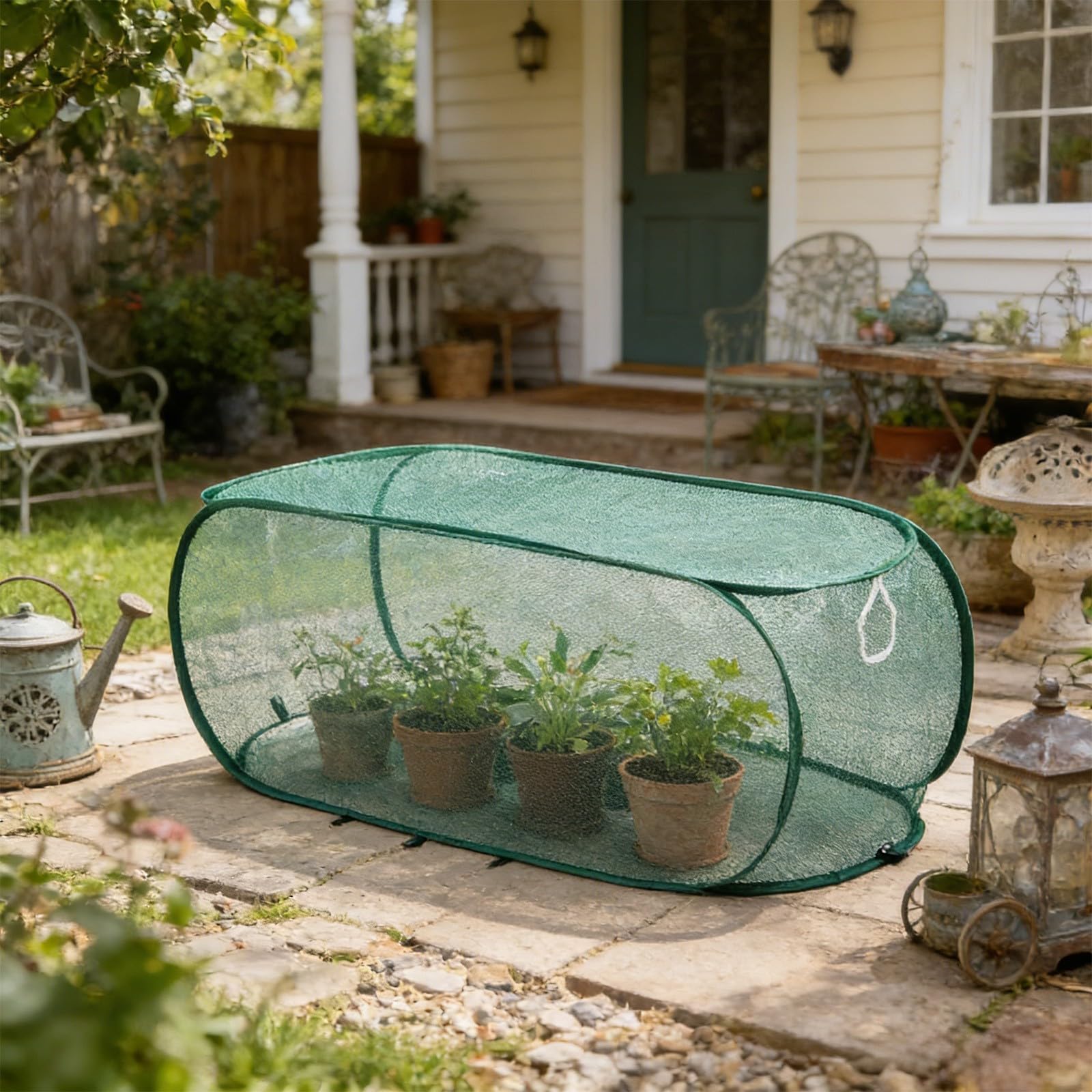 View 4