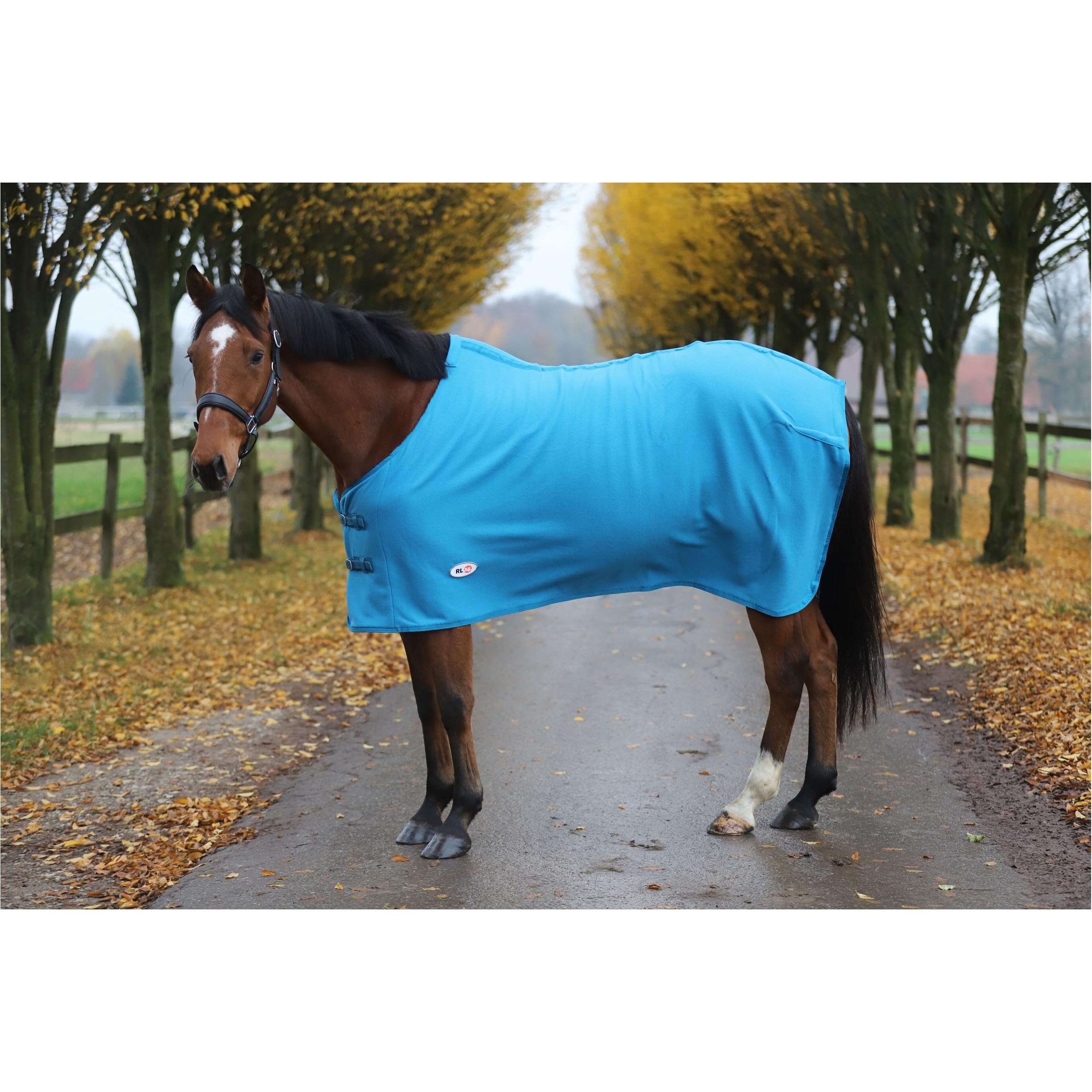 RL24 - Abschwitzdecke Basicline – Pferdedecke mit Schweifkordel, Widerristpolster & Metallverschluss – atmungsaktive Fleecedecke – Pferde Zubehör – Transportdecke in Petrol – 95cm