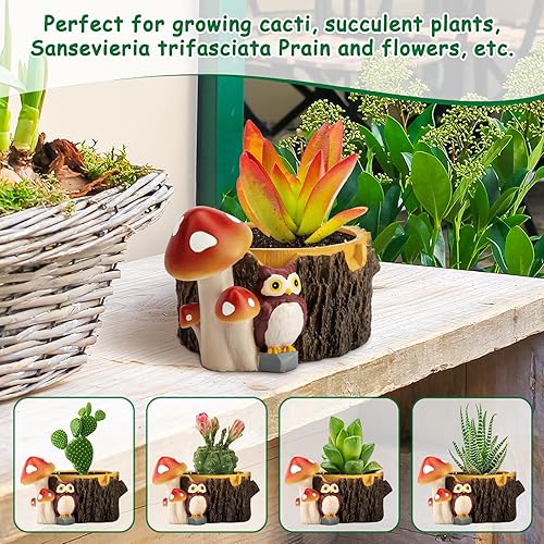 Miniatura 9 de Yiiwinwy Hedgehog - Macetas para suculentas con agujero de drenaje, macetas para plantas de interiorcactus  suculentas, maceta de interior regalo