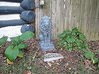 Review Image by dalin dalin