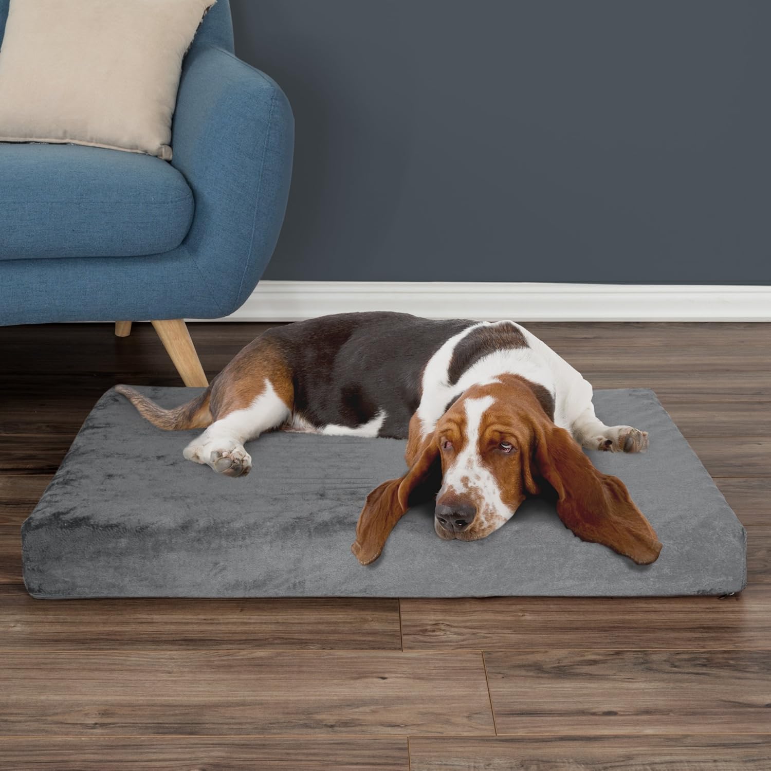 Memory Foam Dog Bed ? 2-Layer Orthopedic Dog Bed with Machine Washable Cover - 37 x 24 Dog Bed for Large Dogs up to 65lbs by PETMAKER (Gray)