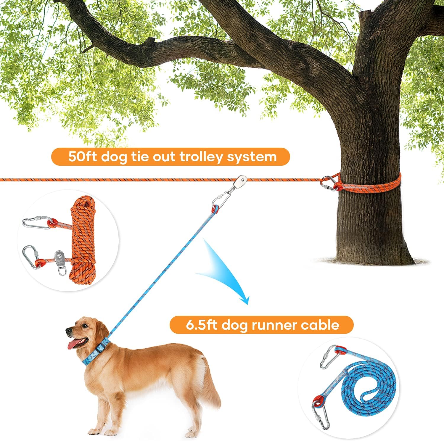 large dog trolley system